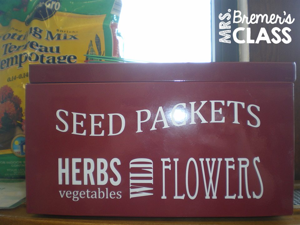 Bremer Kinder Werdem Am Haufigsten Vernachlassigt