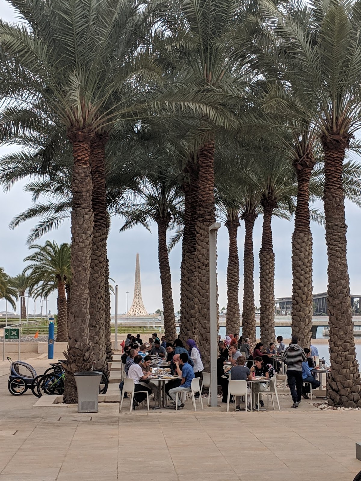 Living at KAUST Munchie Musings