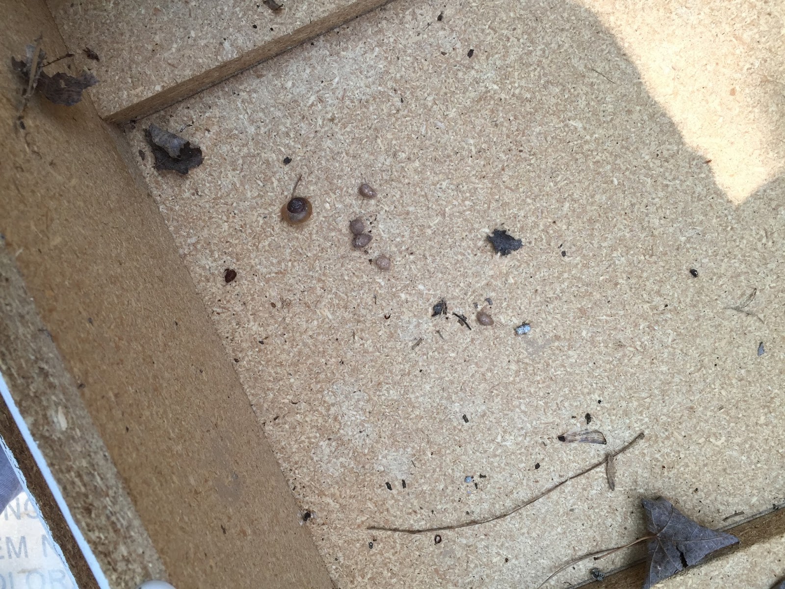 How to Fix Chipped Particle Board domicile 37