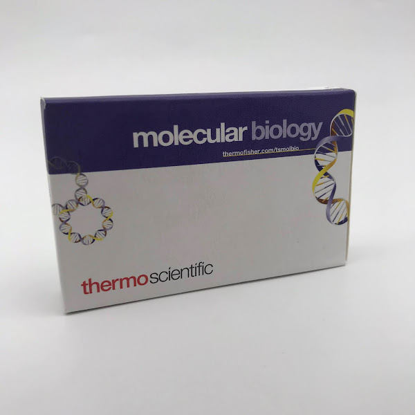 Enzyme HindIII ( ER0501, Thermo Scientific)