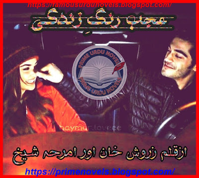 Ajab rang zindagi novel by Zarwish Khan & Amrah Sheikh Episode 1 to 22 pdf