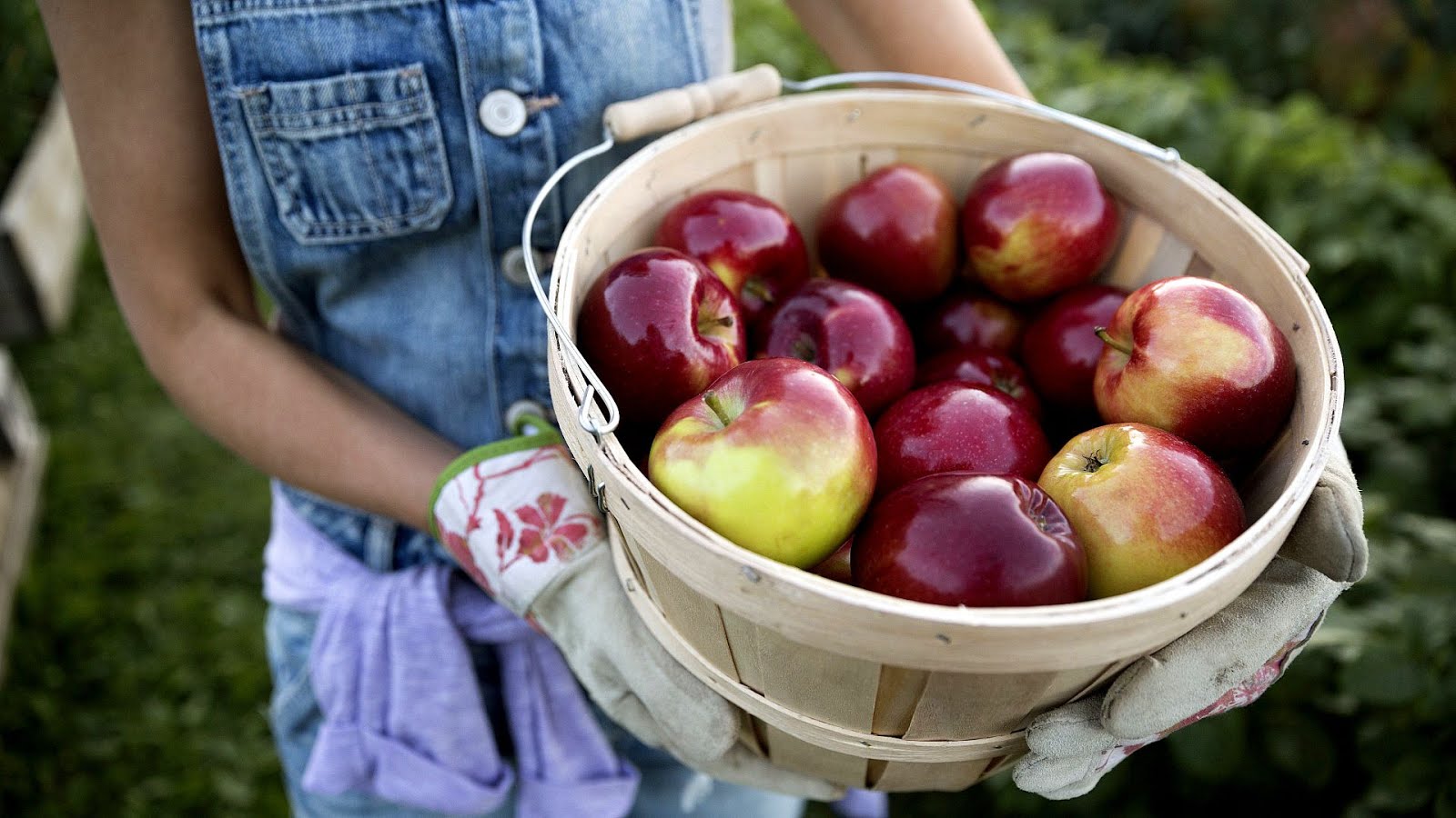 Where To Buy Fruits And Vegetables In Bulk Vege Choices