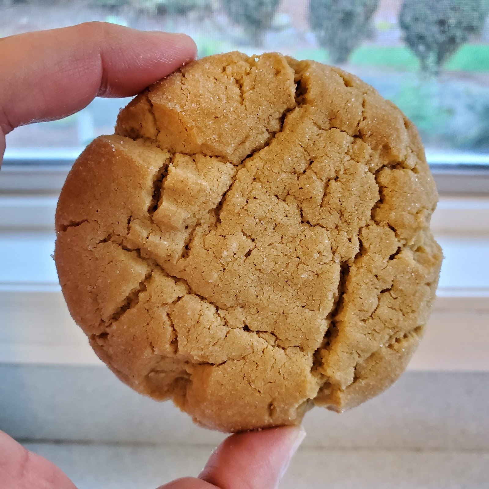 Chewy Bakery Style Peanut Butter Cookies