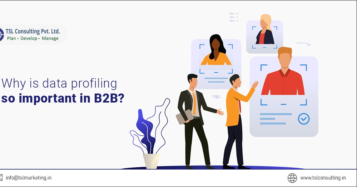 TSL Blogs Why is data profiling so important in B2B?