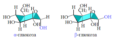 18%2B%25D1%2583%25D0%25B3%25D0%25BB В результате чего образуются моносахариды