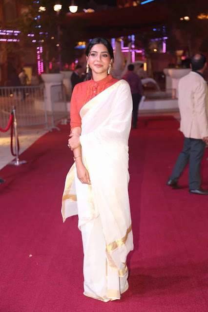 Tamil Actress Satna Titus Latest Images In Saree 11