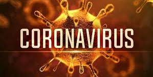 Virus corona có đáng sợ không? Đối phó với nó thế nào?