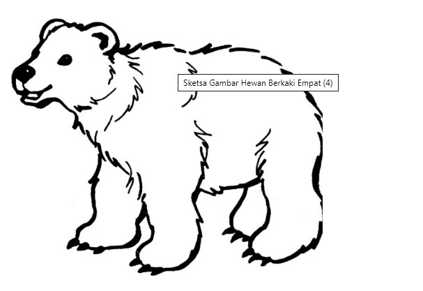 Sketsa Gambar Hewan Berkaki Empat Terbaru Dan Terlengkap