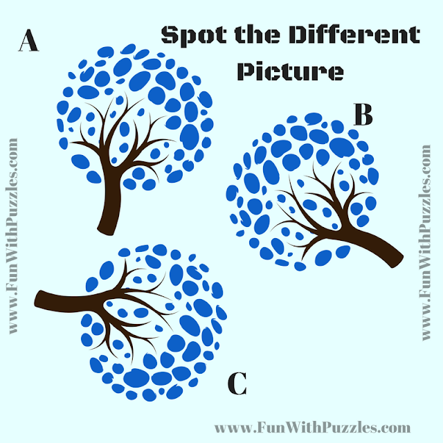 Master Observational Skills: Find the Odd One Out in this Picture Puzzle