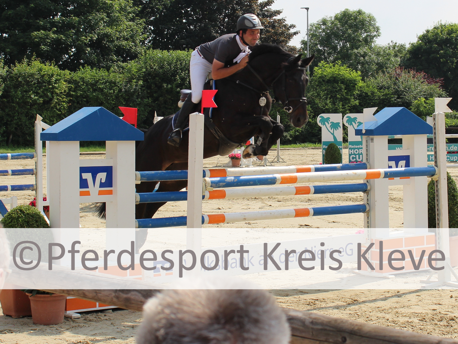 Schattenleben Und Rabengeschrey Mai 2013