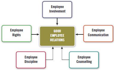 HUMAN RESOURCE MANAGEMENT: Employee Relations for Organization Performance