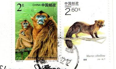 The World In Our Mailbox: Polar Bear, China