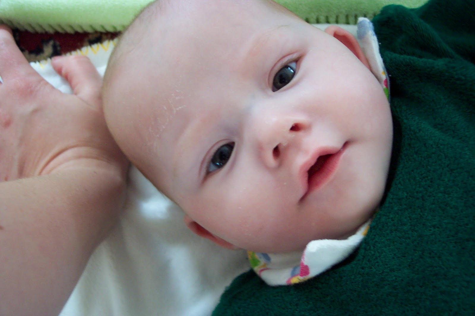 A Happy Heart Blog Adopting Twins Our Russian Adoption Story Part 2