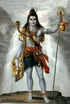 shiv image