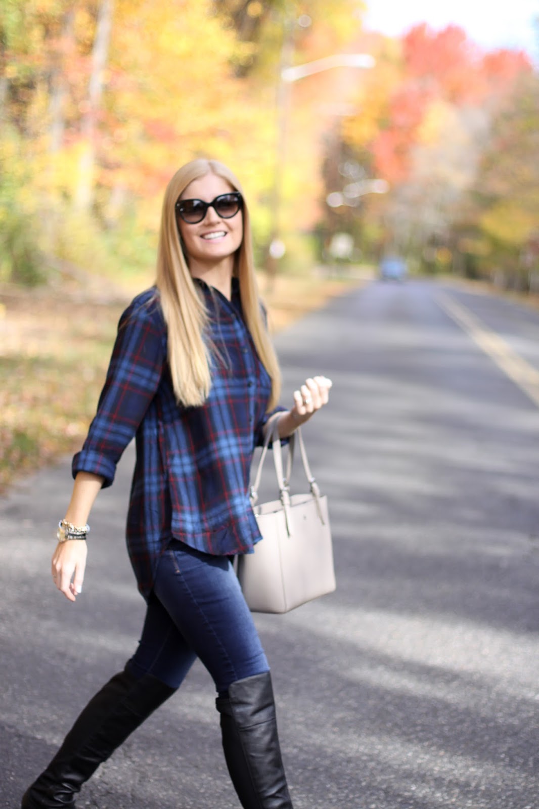 Shopping Bags and Travel Bags: Dressing Up a Plaid