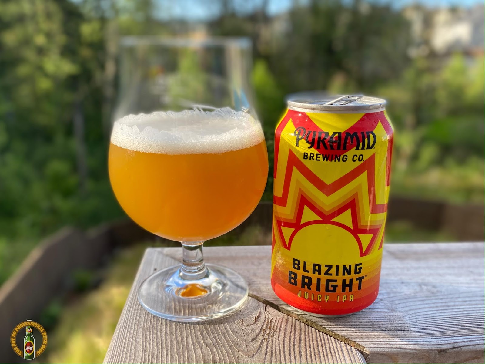 The Not So Professional Beer Blog Brewing with Yogurt