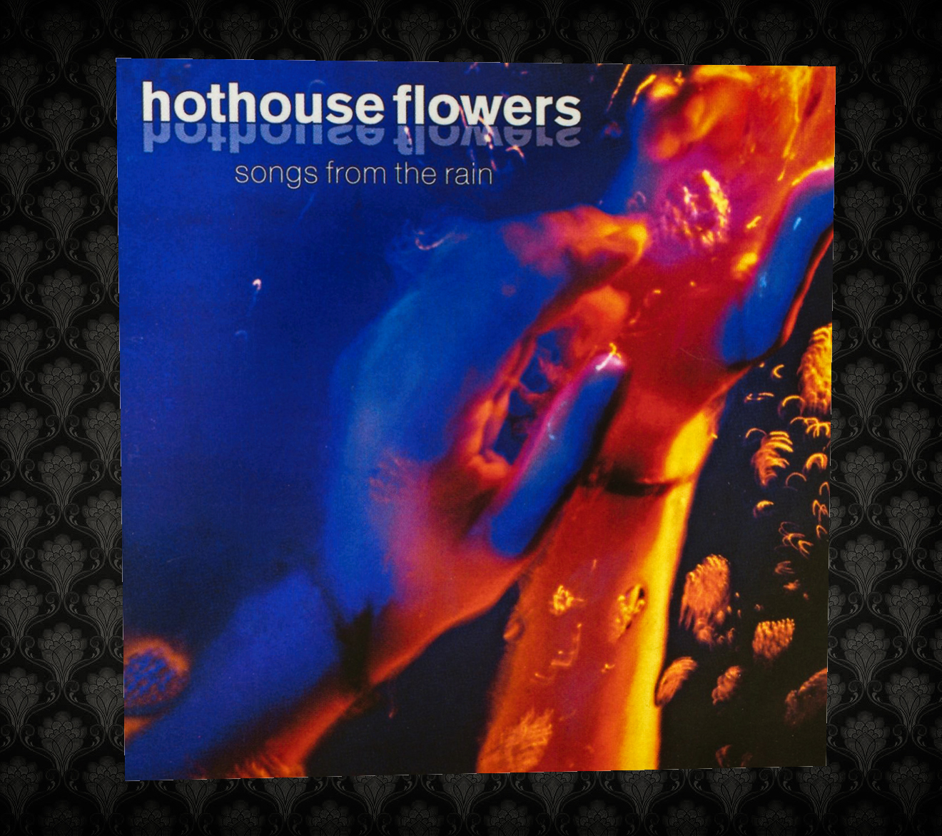 Sound & Vision Thing Hothouse Flowers Songs From The Rain