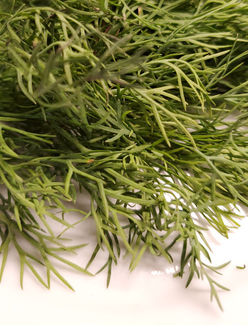 fresh dill on plate