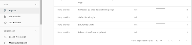 ANA SAYFAM İNDEXLENMİYOR SORUNU ÇÖZÜMÜ