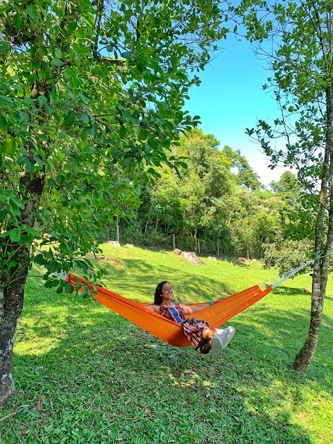 Blog Apaixonados por Viagens - Serra Gaúcha - Roteiro para curtir a Vindima Blog Apaixonados por Viagens - Serra Gaúcha - Roteiro para curtir a Vindima