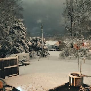 Backyard covered in Snow