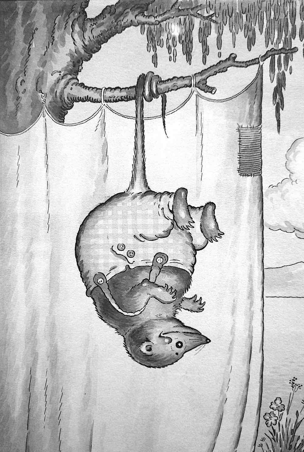 a Harrison Cady illustration a Harrison Cady illustration of a hanging possum