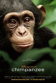 Chimpanzé via Torrent