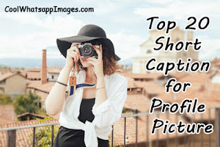 Top 20 Short Caption for Profile Picture Top 20 Short Caption for Profile Picture