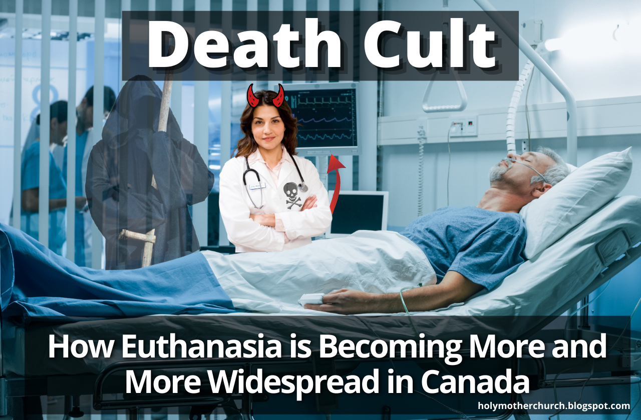 Catholicism for Everyone Death Cult How Assisted Suicide is