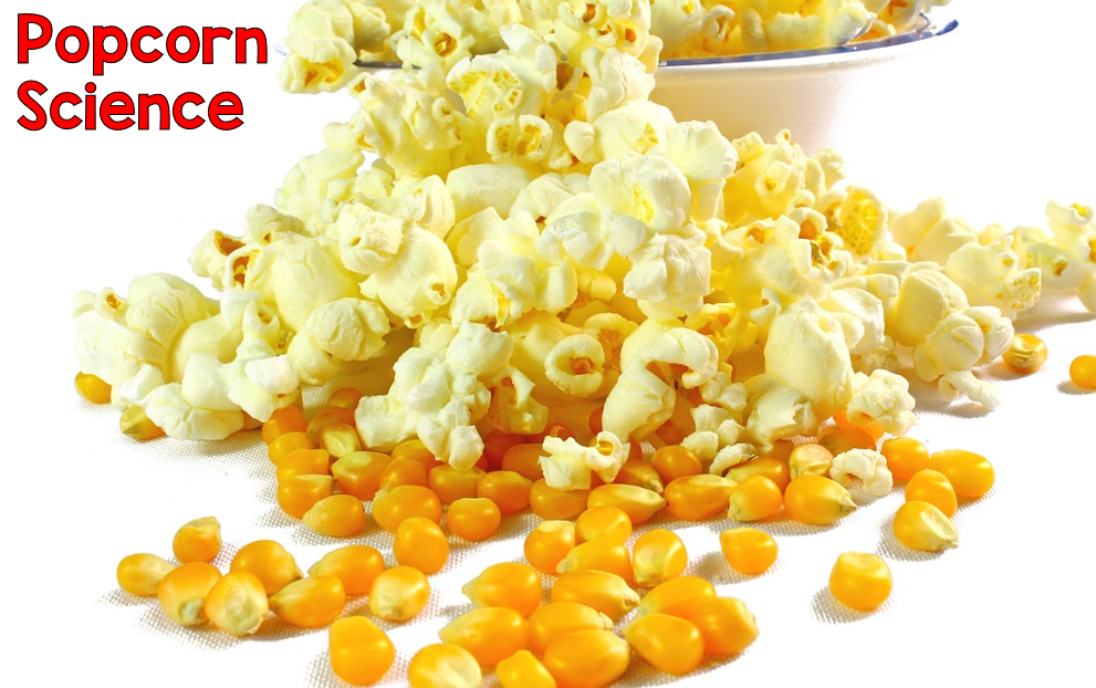 Popcorn and Five Senses In Science The Science School Yard
