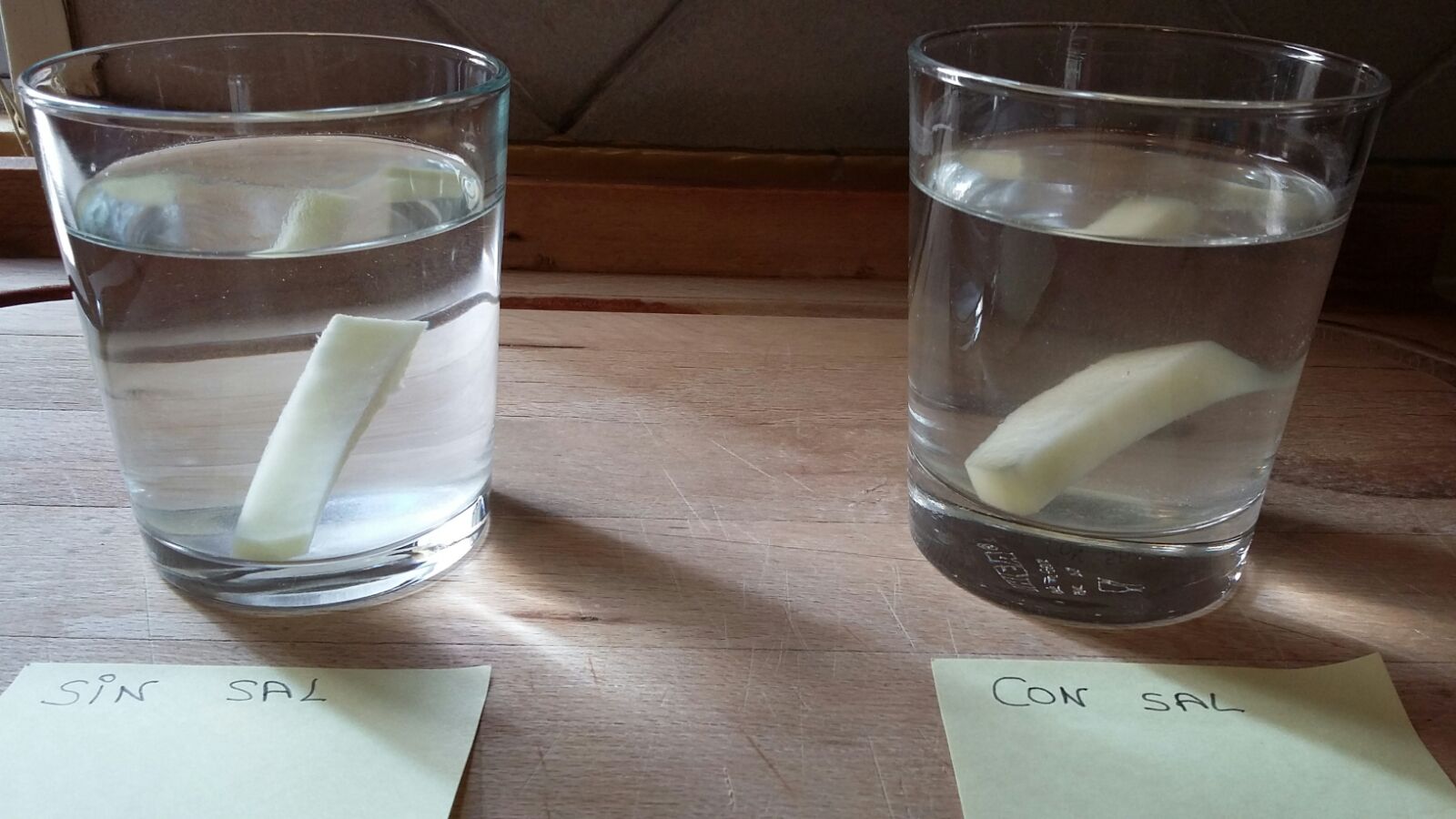 iñigo bg EXPERIMENTO SOBRE ÓSMOSIS.