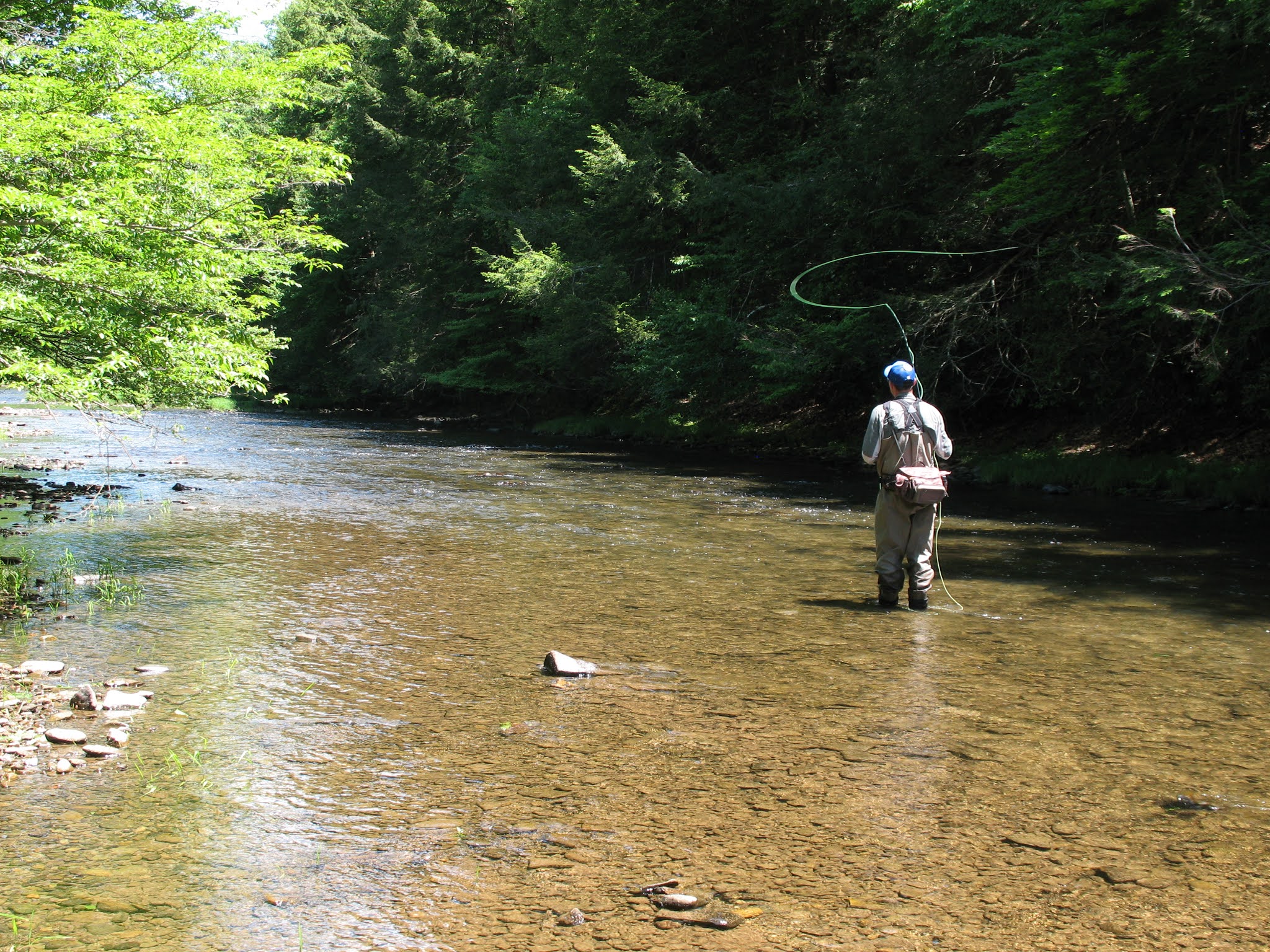 DRY FLY LEADERS FOR TROUT THE LONG AND SHORT OF IT...AND WHAT'S IN