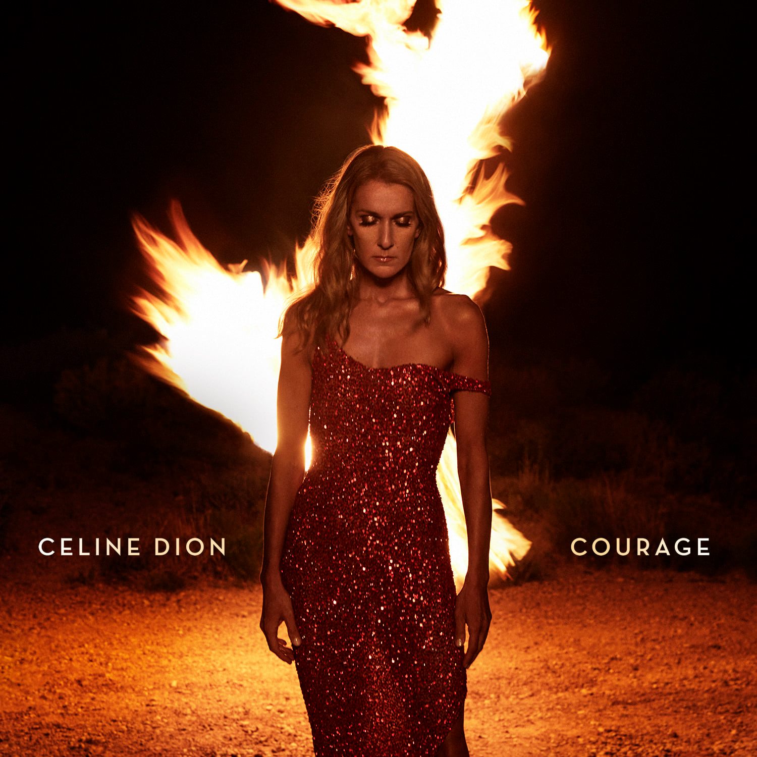 celinedion_courage.jpg