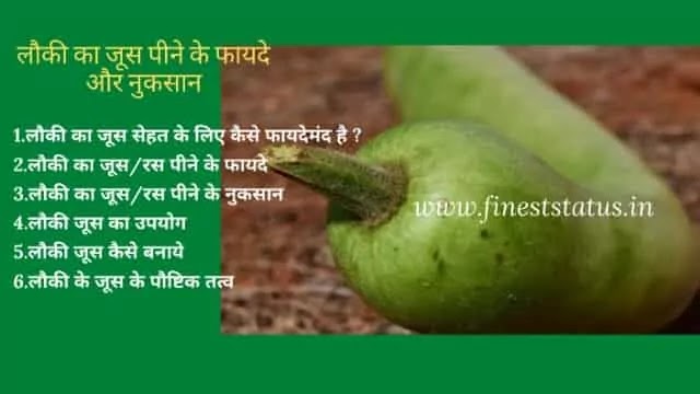 लौकी का जूस पीने के फायदे और नुकसान क्या है | Bottle Gourd Juice In Hindi लौकी का जूस पीने के फायदे और नुकसान क्या है | Bottle Gourd Juice In Hindi