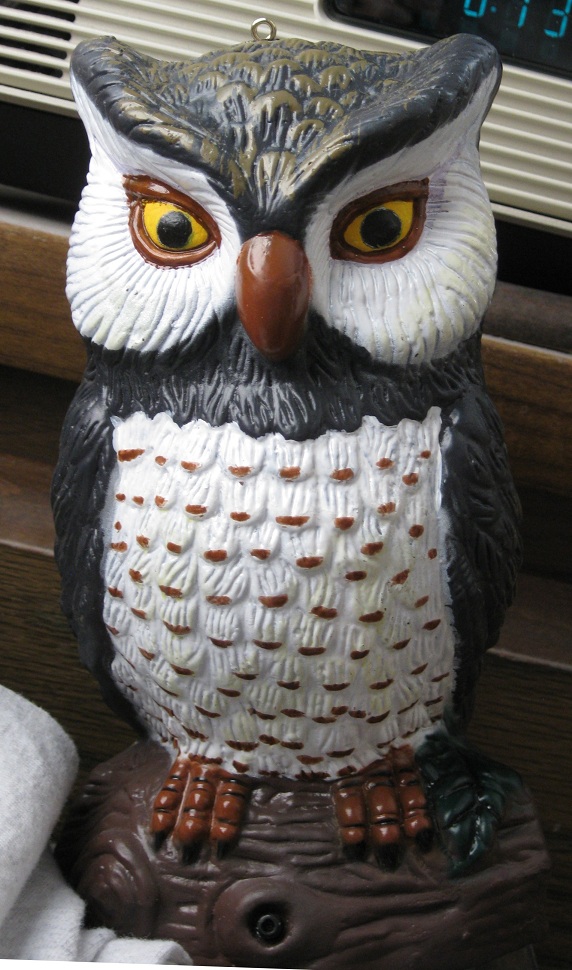 Jim's Junk! Plastic Owls!! A new hobbyfun for all ages.