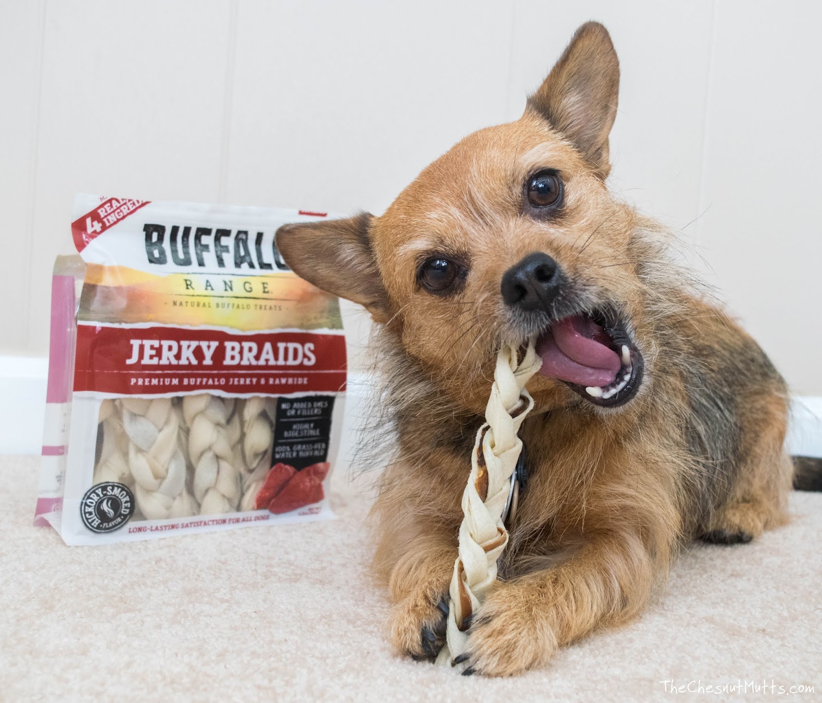 Review & Giveaway Chewing Wisely with Buffalo Range Chews The