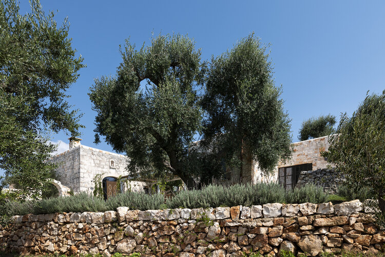 ����� ������ ���� paul%2Braeside%2