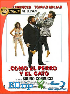 Como el perro y el gato (1983) BDRIP 1080p Latino [GoogleDrive] SXGO