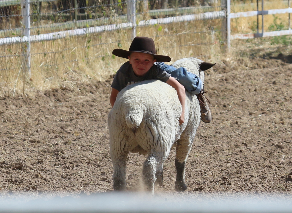 Desert Survivor Labor Day Kids Rodeo at Leamardo Days, Leamington, Utah