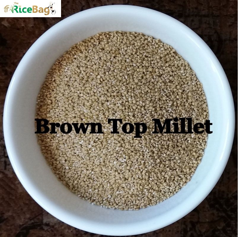 అండు కొర్రలు యొక్క ఉపయోగాలు ఖాదర్ వాలి Andu Korralu (Browntop Millet