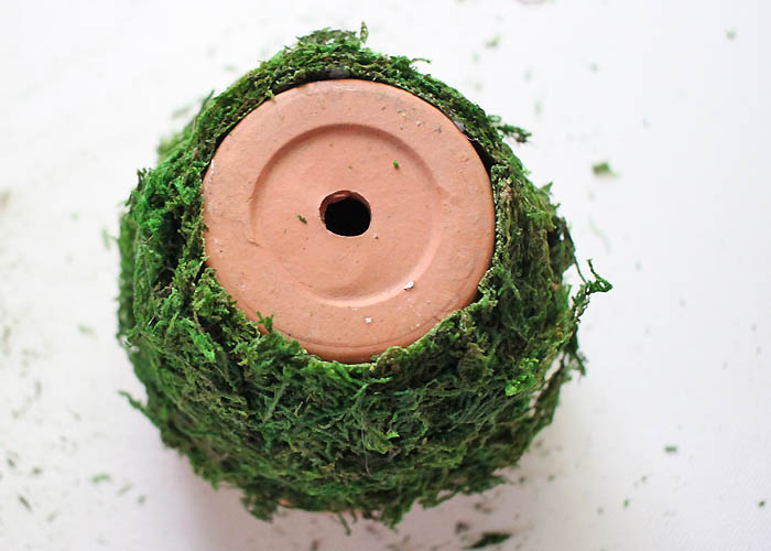 DIY Moss Covered Flower Pot Gina Michele