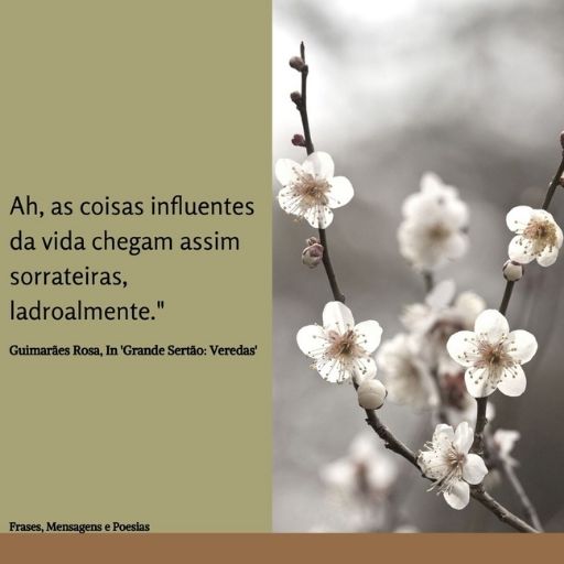 Frases,Mensagens e Poesias: Frase do Livro Grande Sertão: Veredas - Guimarães  Rosa