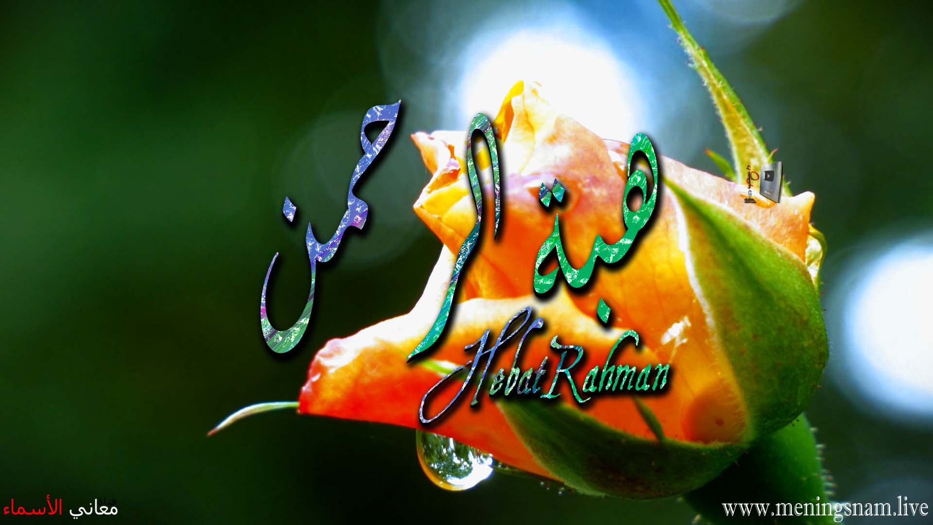 معنى اسم, هبة الرحمن, وصفات, حاملة, وحامل, هذا الاسم, Hibat Rahman,