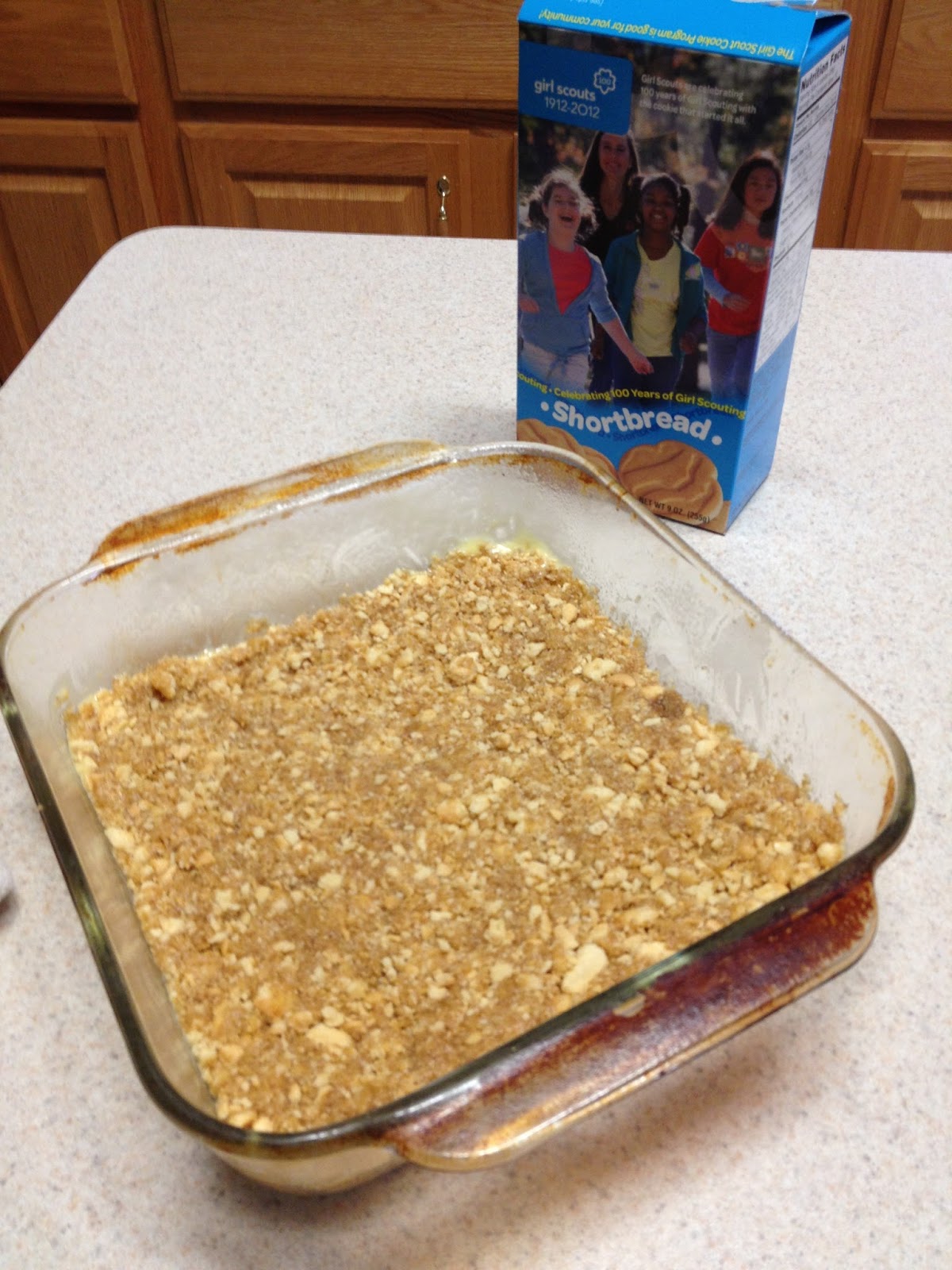 Lil LaRoux's Graham Cracker Crust Substitute
