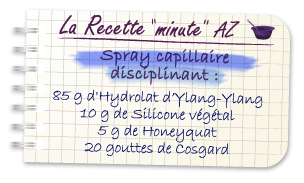 recette sray disciplinant