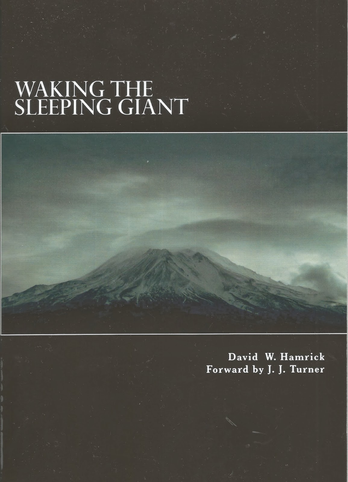 Bully Pulpit Waking the Sleeping Giant by David W. Hamrick