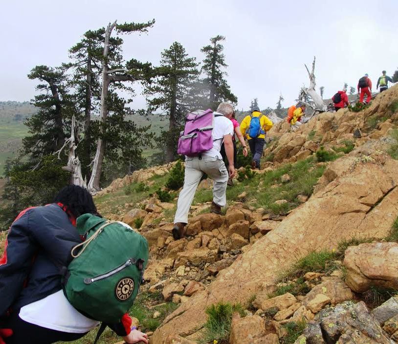 Image result for φλεγκα