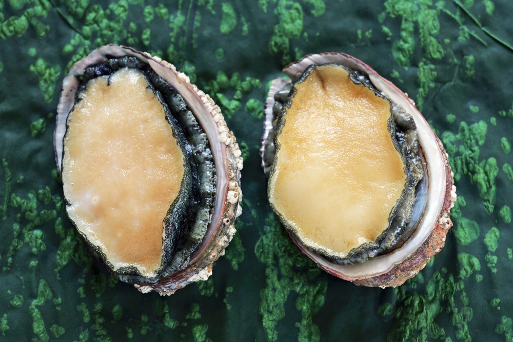 Korean energyboosting food to spend your summer healthily