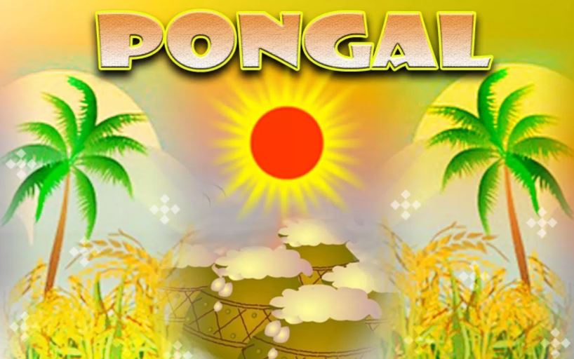 Pongal Wallpapers