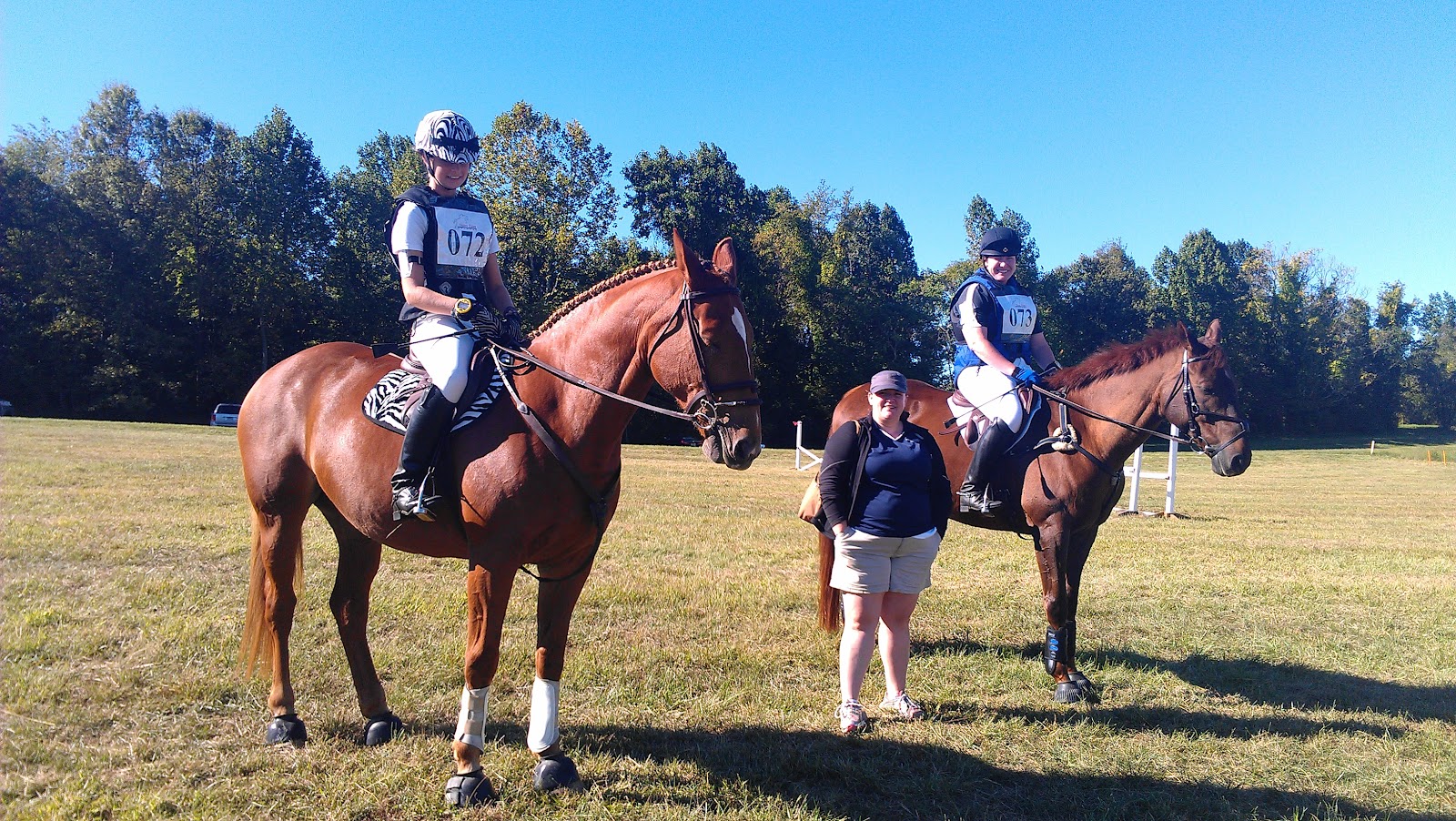 Golightly Sport Horses Marlborough Horse Trials